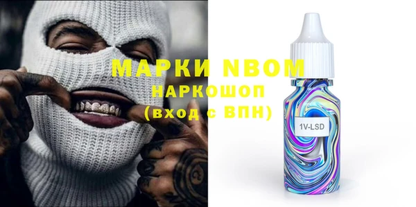 шишки Беломорск