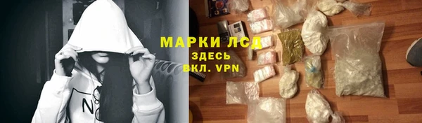 шишки Беломорск