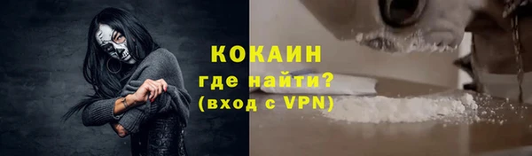 шишки Беломорск