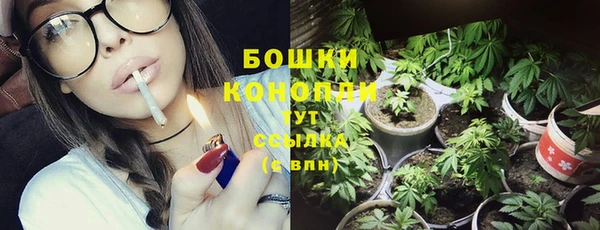 шишки Беломорск