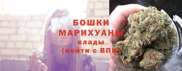 шишки Беломорск