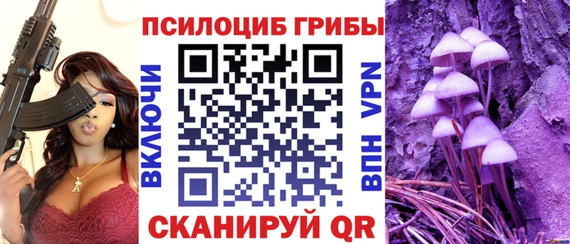 Псилоцибиновые грибы Psilocybine cubensis  где купить   Красный Сулин 